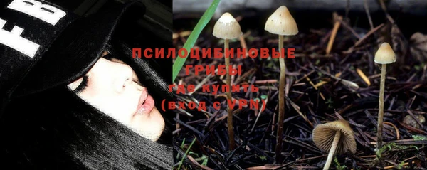 spice Алзамай