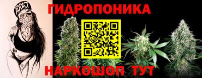 прущая мука Кингисепп