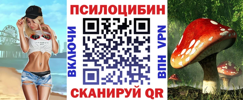 Галлюциногенные грибы GOLDEN TEACHER  где купить   Сокол 