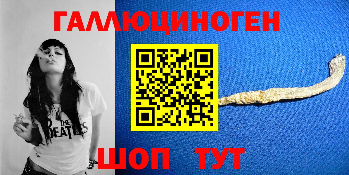 Галлюциногенные грибы Psilocybe Сокол