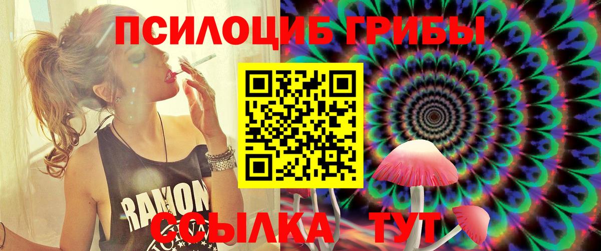 Галлюциногенные грибы мицелий  где можно купить   Сокол  Вход с VPN 