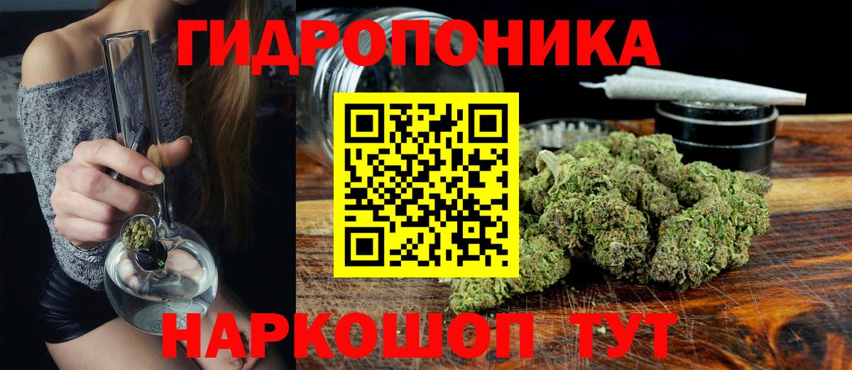 МАРИХУАНА Ganja Сокол